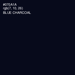 #070A1A - Blue Charcoal Color Image